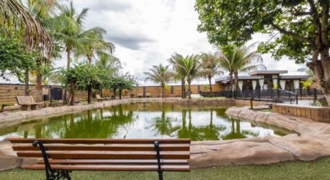 Hospedagem Carpe Diem Eco Resort | Olímpia SP