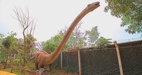 Ingressos Vale dos Dinossauros | Olímpia SP